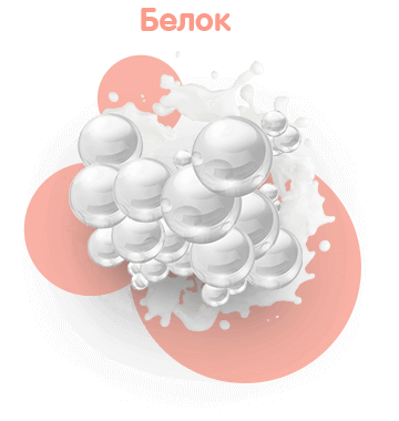 molecular imgs protein