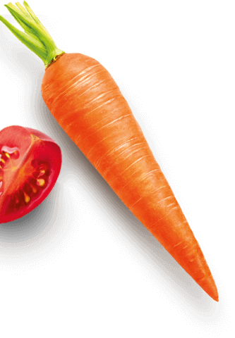 carrot