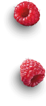 raspberries