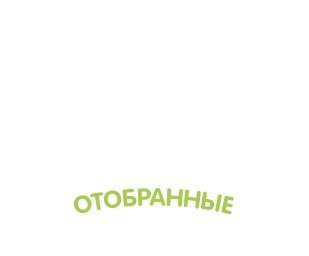 Специально отобранные ягоды и фрукты