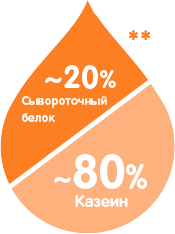 20% Сывороточный белок/80% Казеин