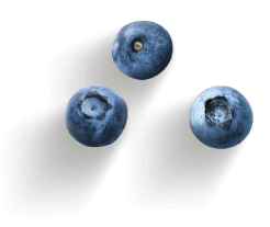 blueberry