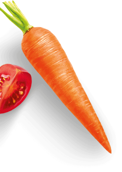 carrot
