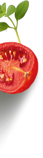 tomato