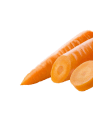 carrot2