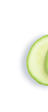 vegetable