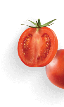 tomat