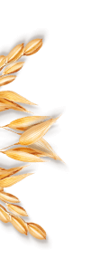 section5s1p2