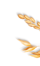 section5s2p2