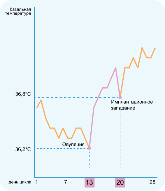 Энциклопедия мам