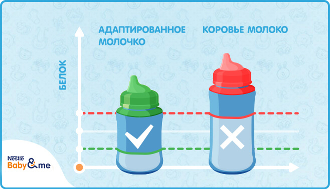 Содержание белка в адаптированном и неадаптированном молоке