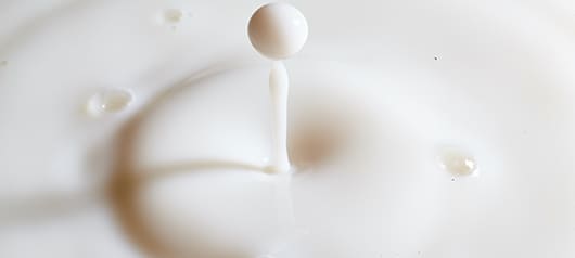 Неоднозначный продукт: коровье молоко. Аллергия на белки коровьего молока