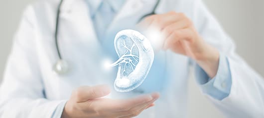 Почему коровье молоко и железодефицитная анемия могут иметь прямую связь?