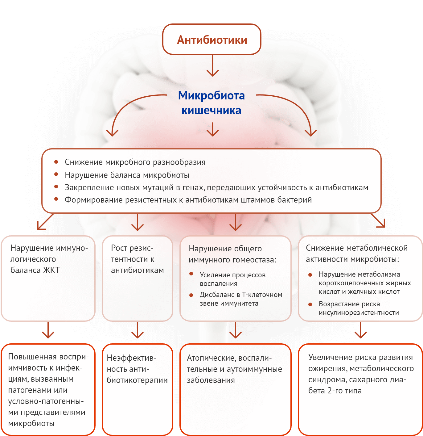 Возможные негативные последствия влияния антибиотиков на микробиоту кишечника