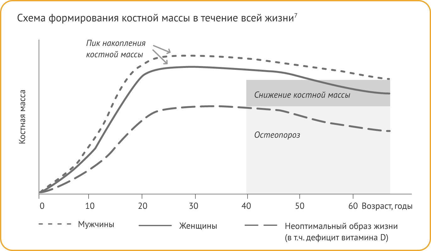 Схема формирования костной массы в течении всей жизни