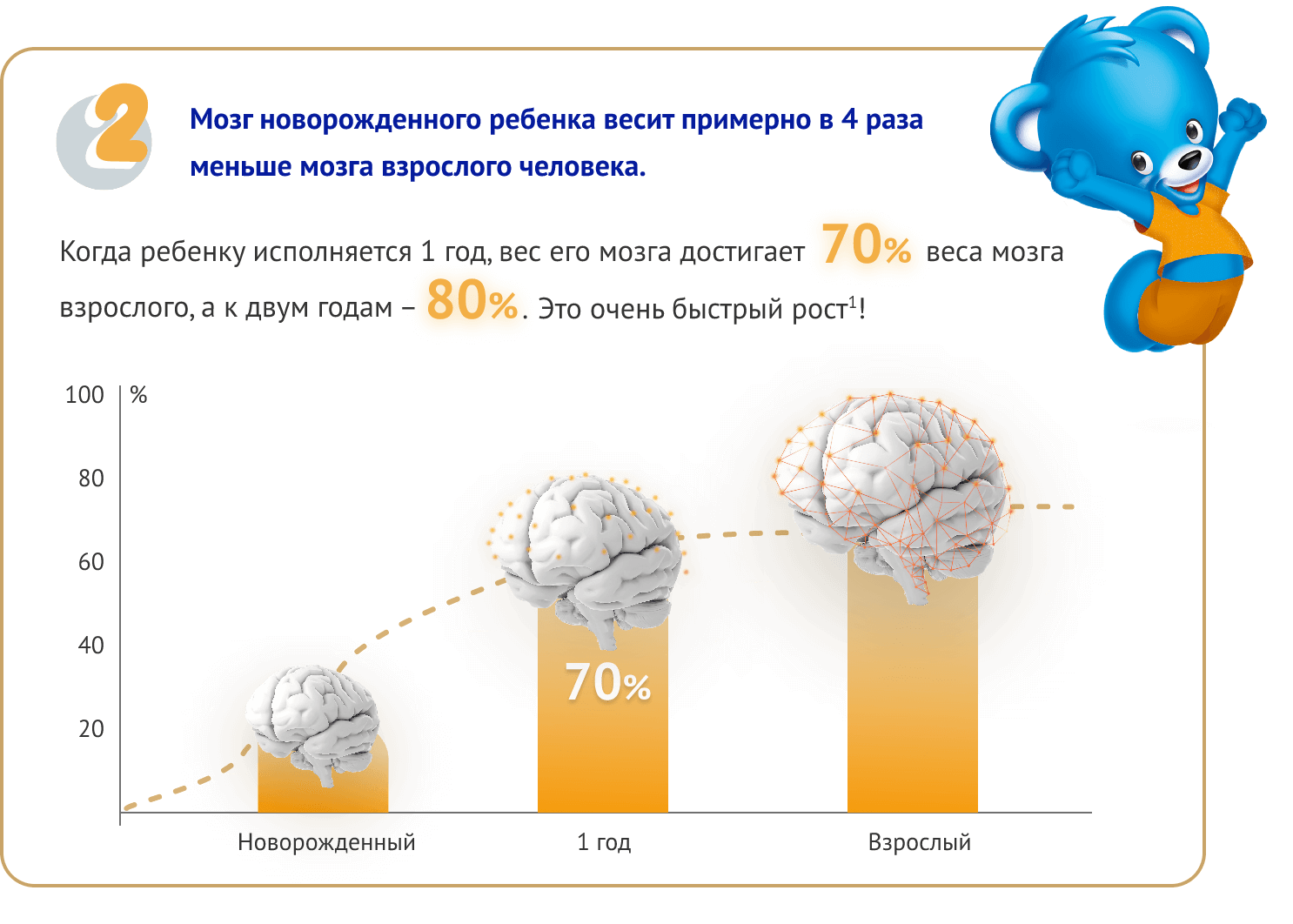 Развитие мозга ребенка