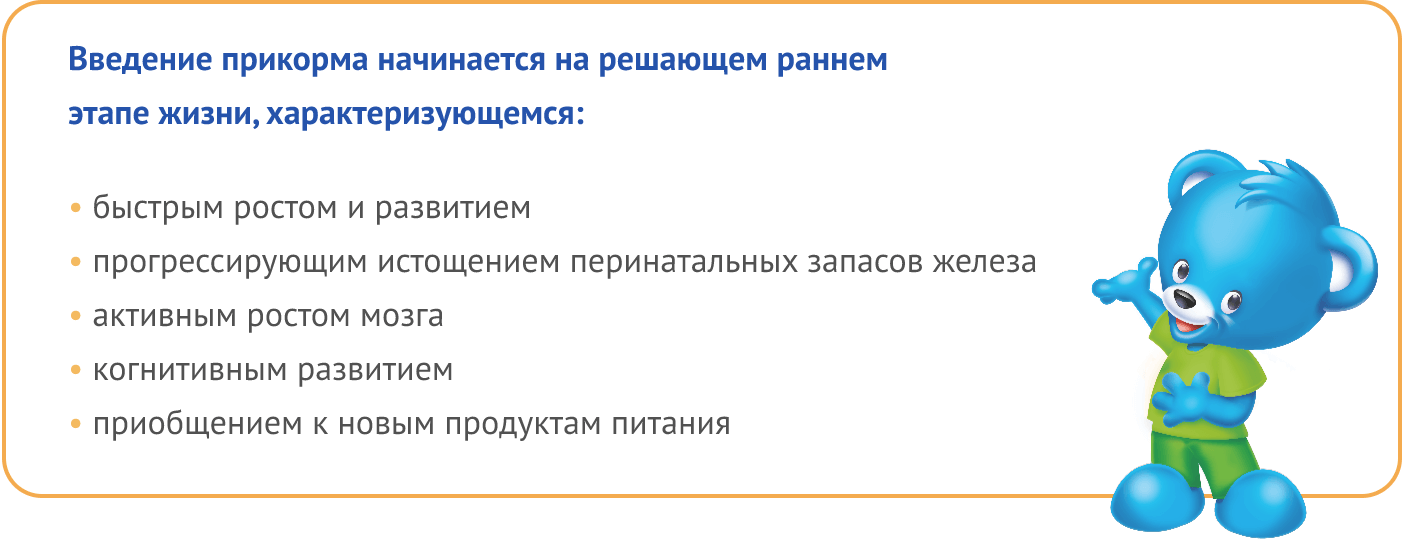 Введение прикорма на раннем этапе