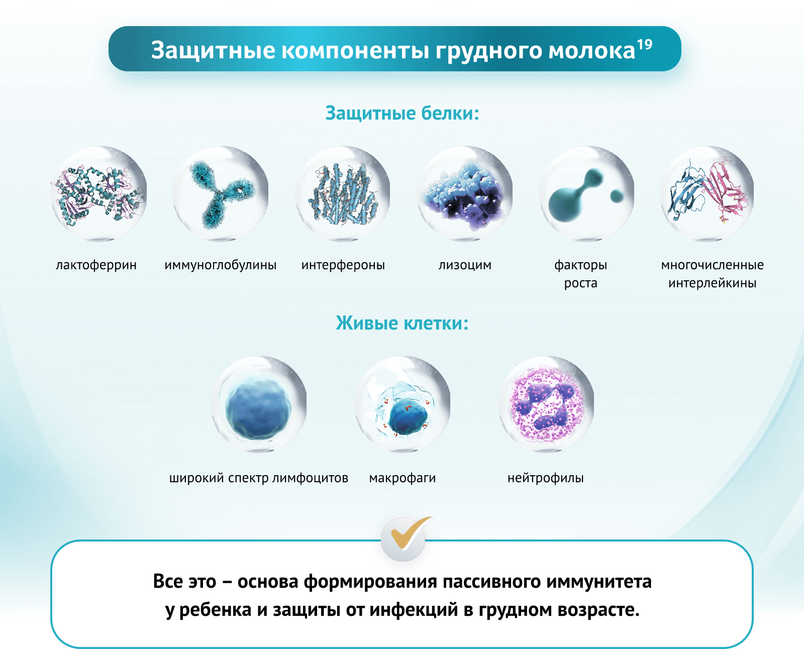 Иммунитет детей на искусственном вскармливании