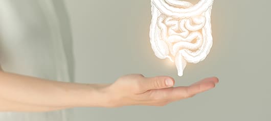 Аудиозапись: Почему Lactobacillus reuteri по&nbsp;праву называют многофункциональным менеджером ЖКТ?