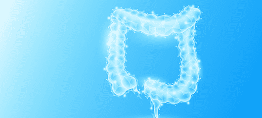 Как нарушение работы оси «кишечник - мозг» влияет на работу ЦНС в будущем