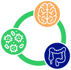 ось кишечная микробиота