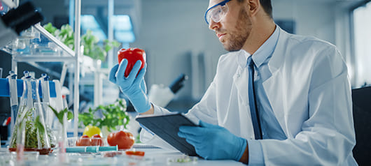 Новый взгляд на введение прикорма