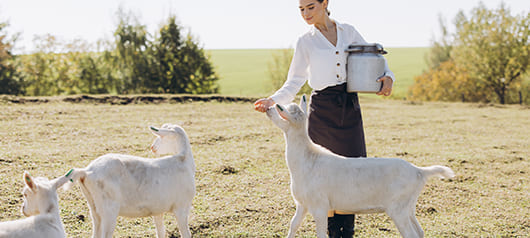 Преимущества NAN® на козьем молоке для комфортного пищеварения