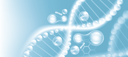 Что такое пробиотики, пребиотики, синбиотики, симбиотики и&nbsp;зачем они нужны