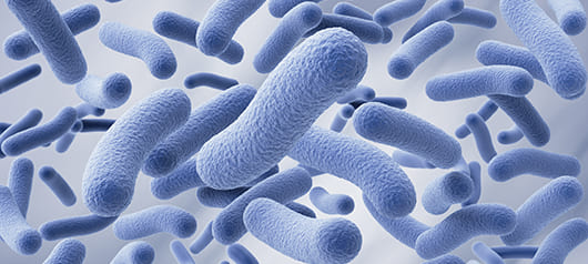 Исследование пробиотика Lactobacillus reuteri для новорожденных: в чем преимущества и&nbsp;для чего используется?