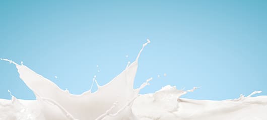 Коровье молоко и ожирение: есть ли связь?