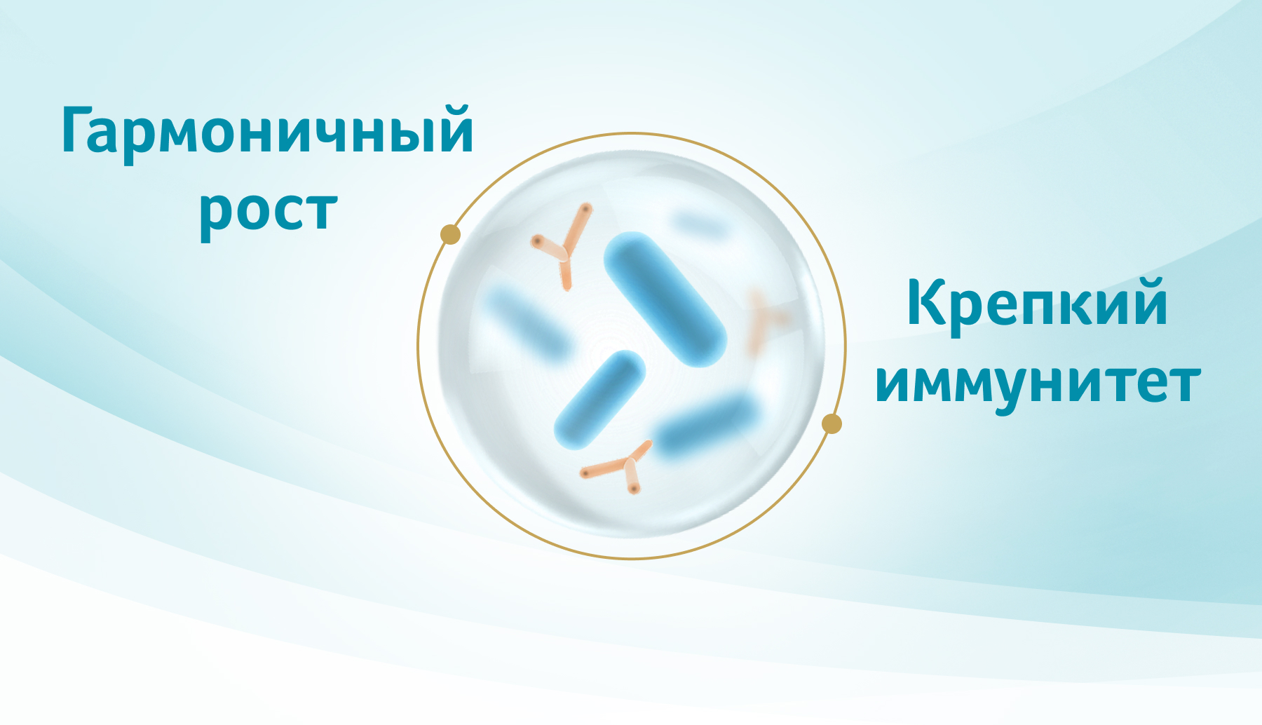 взаимосвязь между составом микробиоты и здоровьем ребенка