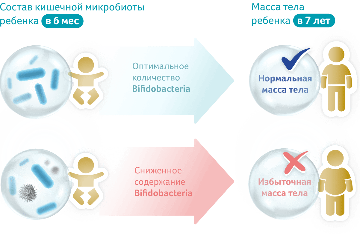 Состав кишечной микробиоты в первые месяцы жизни, и индекс массы тела в 7 лет