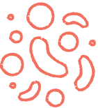 Bacteria icon