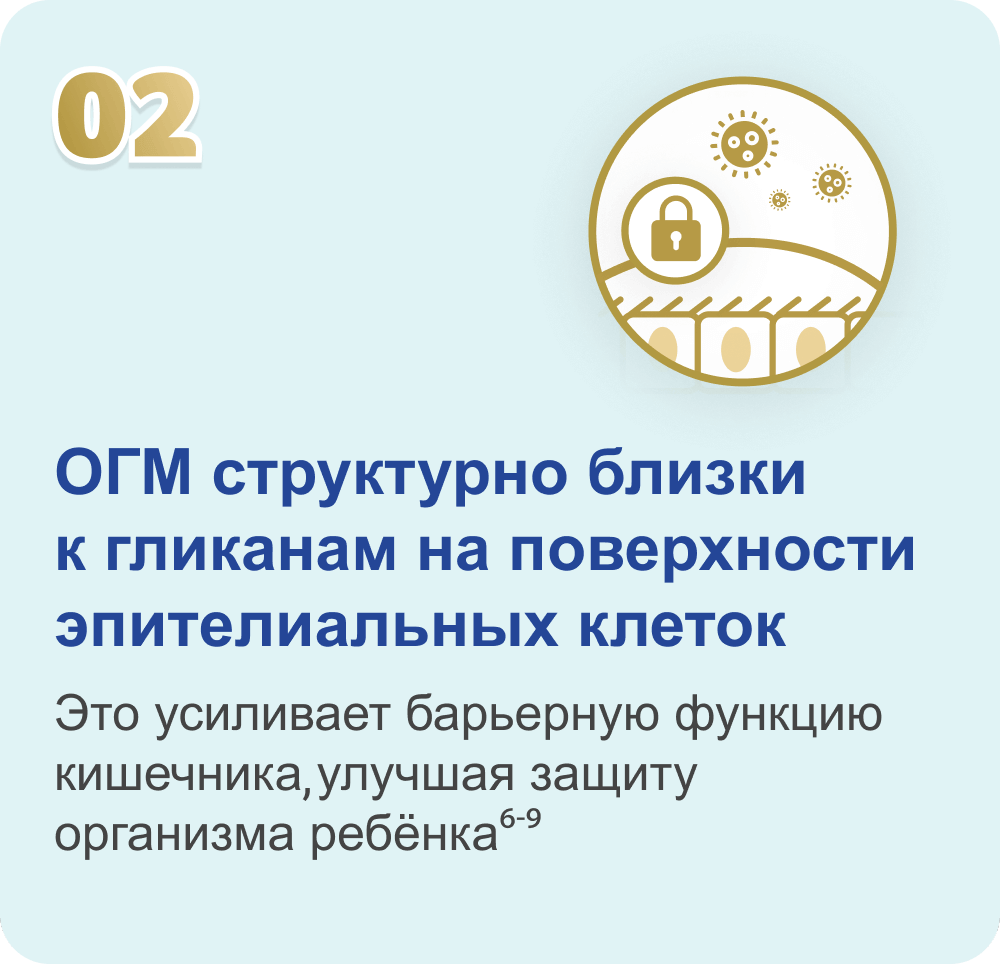 ОГМ структурно близки к гликанам на поверхности эпителиальных клекоты