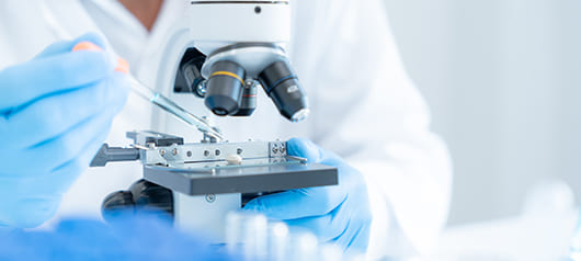 Кишечная микробиота и ее роль в регуляции работы нервной системы: может ли питание быть умным?