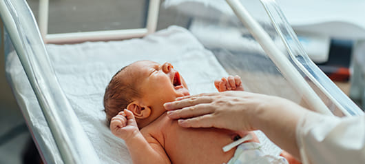 Статья: Принципы введения прикорма у недоношенных детей