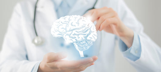 Влияние питания на развитие мозга