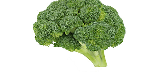 Аудиозапись: Влияние питания на развитие мозга