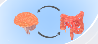 ЖКТ и&nbsp;нервная система: влияние процессов пищеварения на&nbsp;когнитивное развитие детей раннего возраста