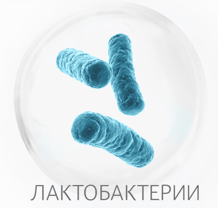 BIO-ферментация