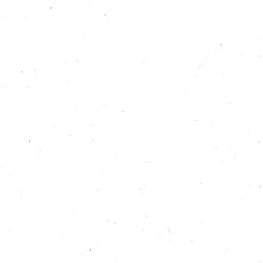 Боровик Т.Э.