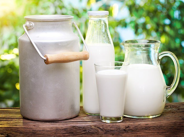 Пейте на здоровье молоко коровье?