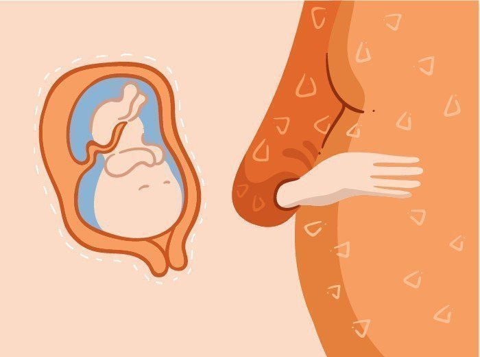 Сколько шевелений на 25 неделе беременности thumbnail