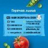 Растительно-мясное пюре Gerber Рагу из свинины и говядины с овощами