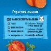 Растительно-мясное пюре Gerber Лакомство по-итальянски