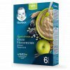 Безмолочная каша Gerber Мультизлаковая с яблоком и черносливом