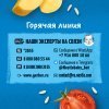 Растительно-мясное пюре Gerber Рагу из индейки с рисом