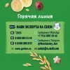 GERBER экструдированные Рисово-пшеничные звездочки с бананом и малиной cерии Organic