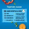 Растительно-мясное пюре Gerber Паста с овощами и говядиной