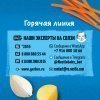Консервы Gerber растительно-мясные Говядина по-домашнему с морковью